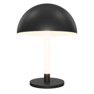 Ray FXZ012TL-L8B3K